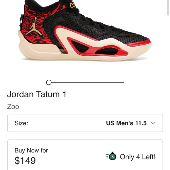 New Jordan Tatum 1 Zoo - Picture 6 of 6